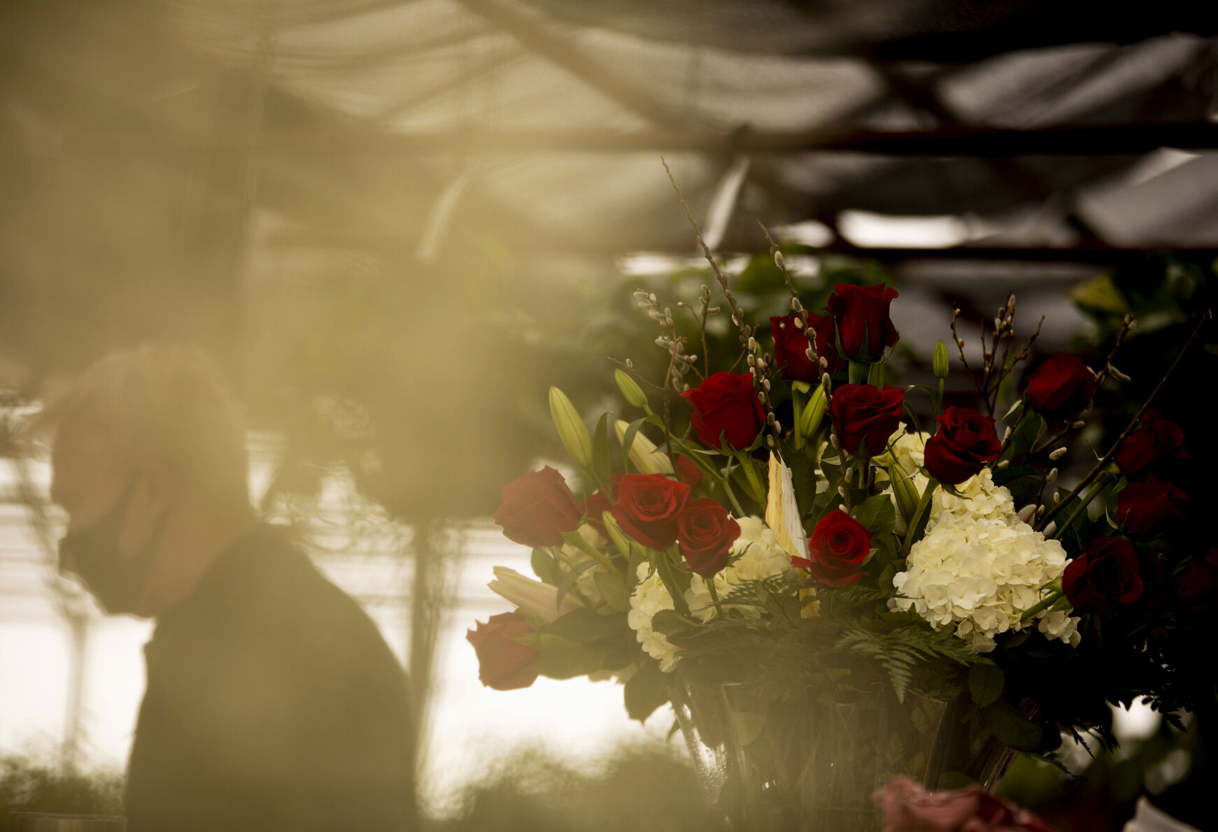 021321-news-vdayroses 09.jpg